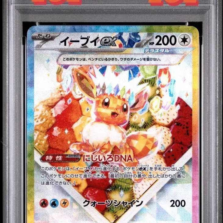 포켓몬카드 일판 이브이 SAR psa10