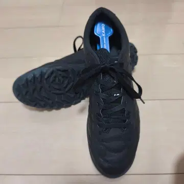 루스이슨 브라 풋살화 트레이닝화 27cm ALMA CO