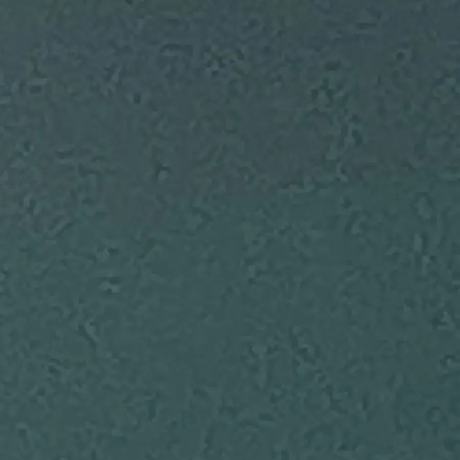 결제
