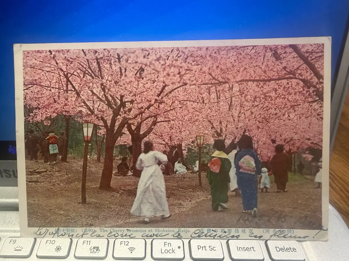 1936년 - 프랑스 선원의 시선으로 기록된 부산 인구 상황 등 기록