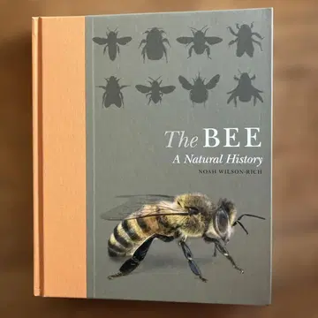 외국도서 [ The BEE ] 프린스턴 대학 프레스 내추럴 히스토리 시리즈