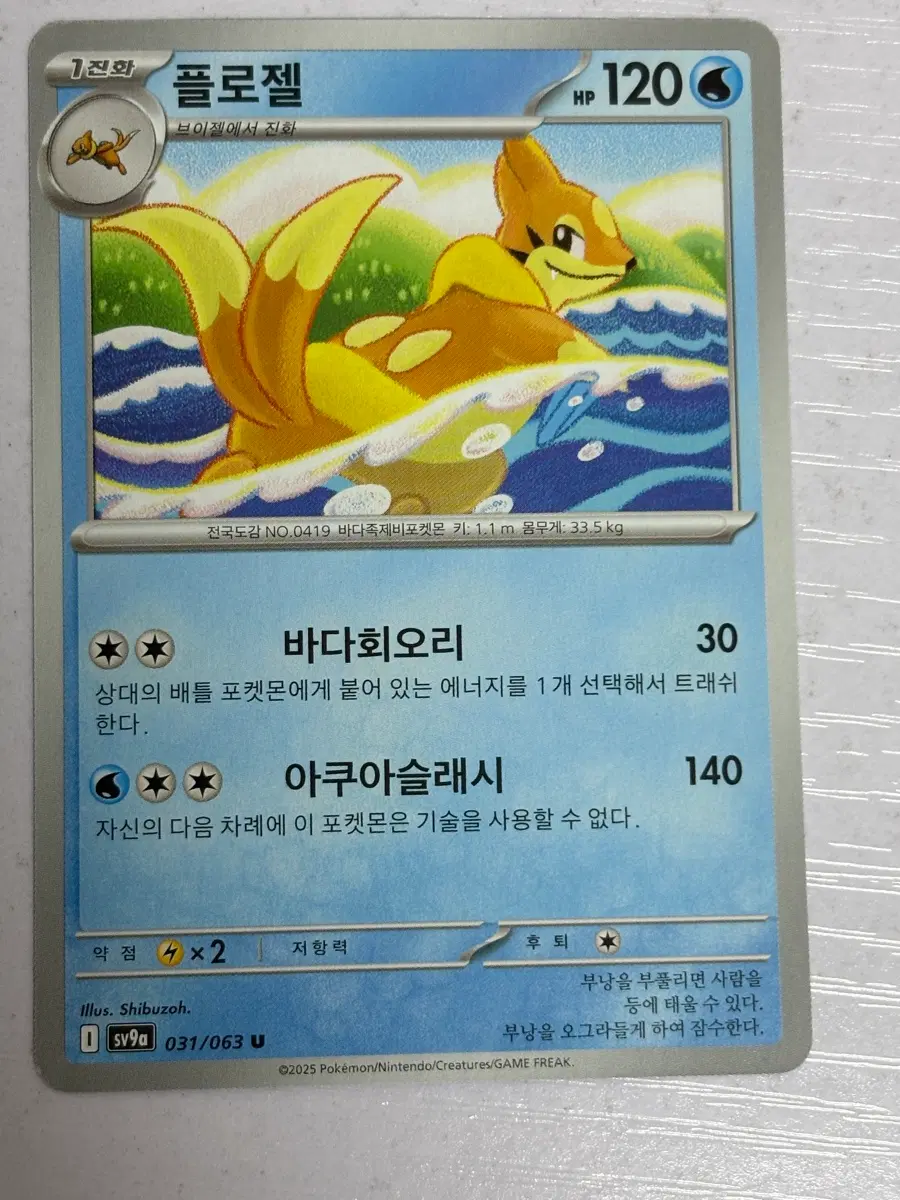 [귀여운 포켓몬카드] 플로젤