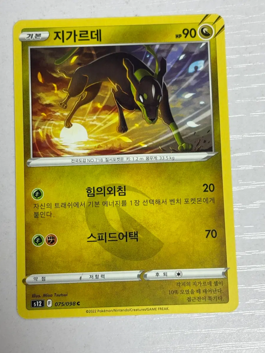[귀여운 포켓몬카드] 지가르데