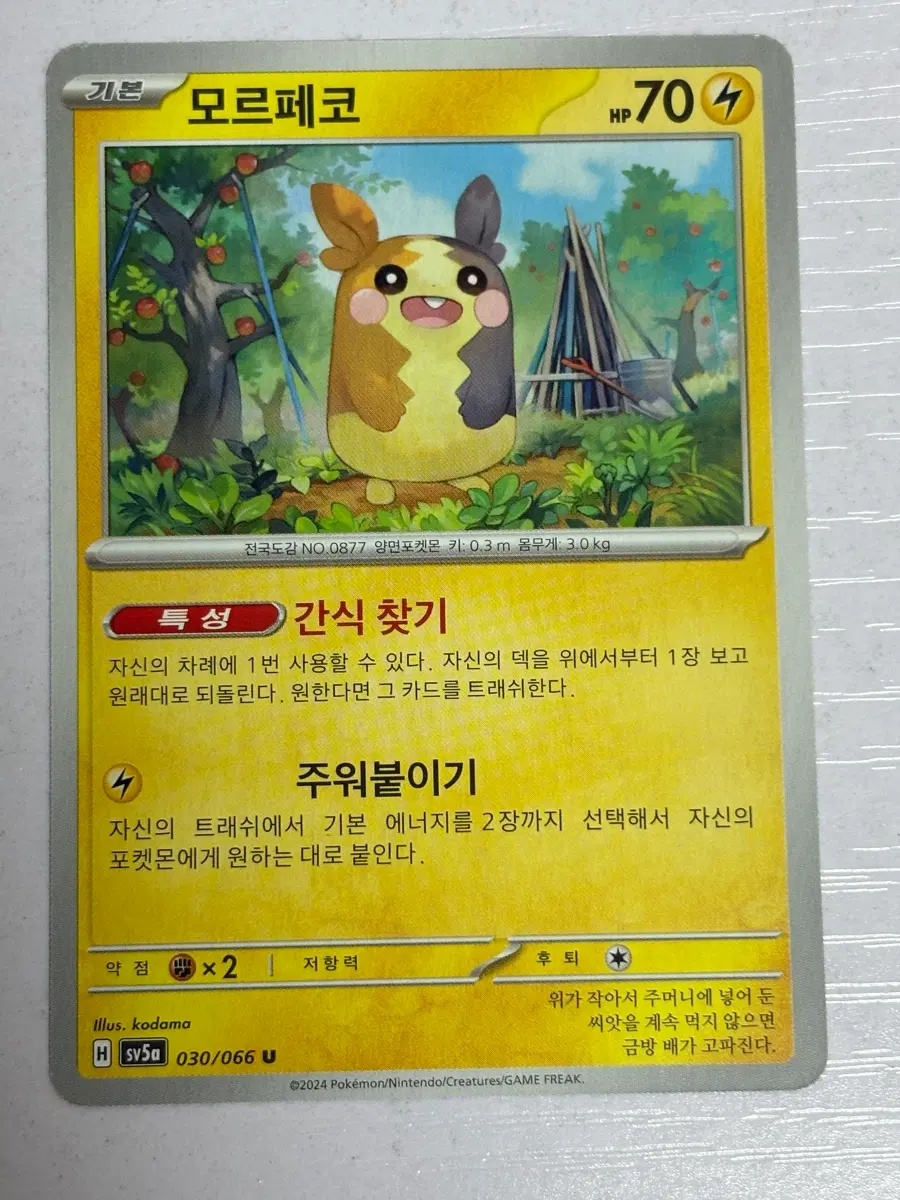 [귀여운 포켓몬카드] 모르페코