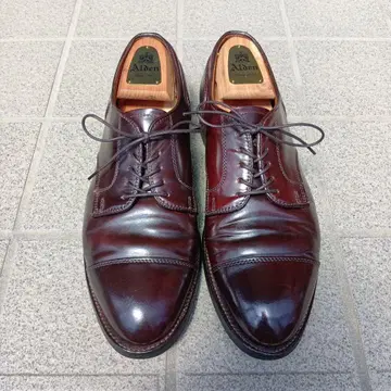 Alden 2160 9D 버건디 코도반 스트레이트 팁