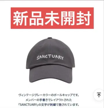 TXT TOMORROW X TOGETHER SANCTUARY 캡