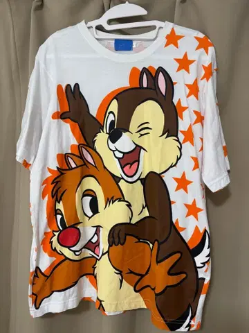 Disney Resort 칩과 데일 T셔츠 L사이즈