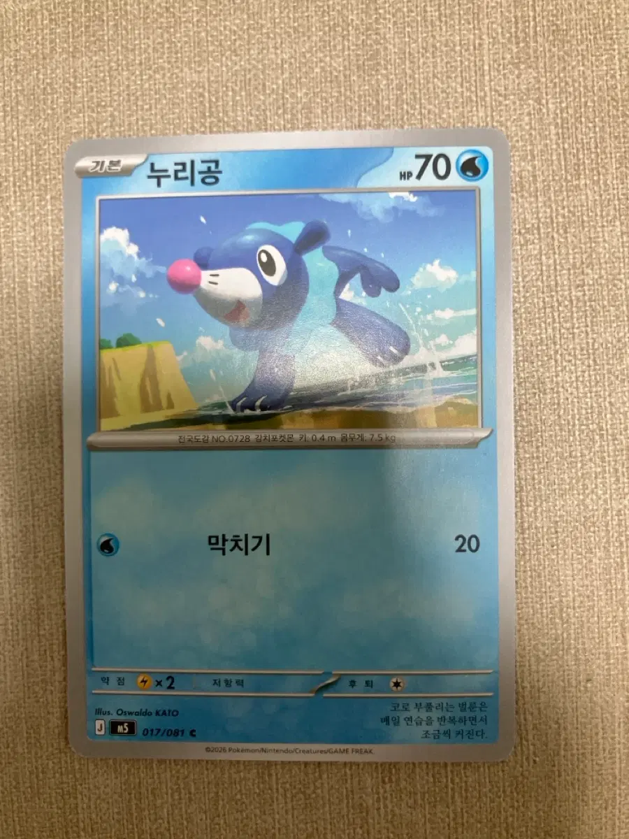 포켓몬카드 누리공