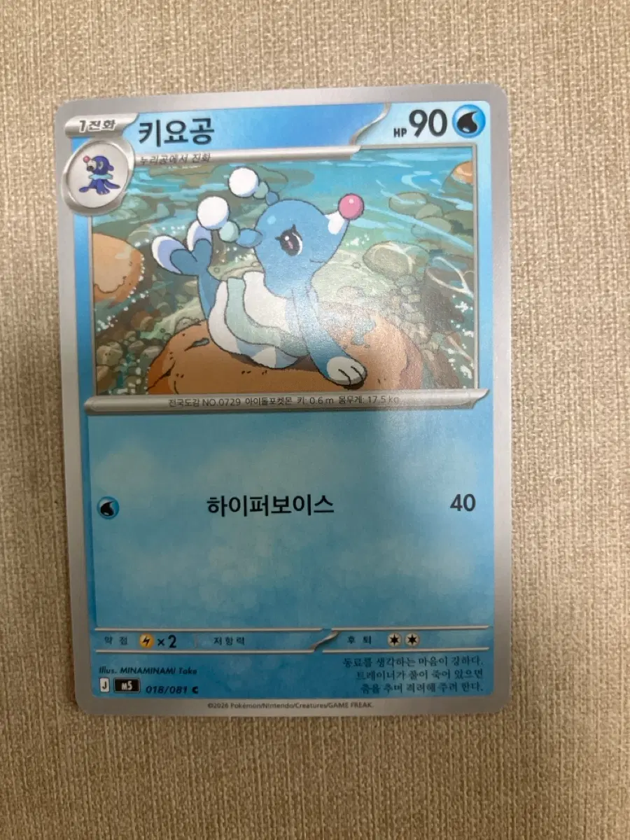 포켓몬카드 키요공