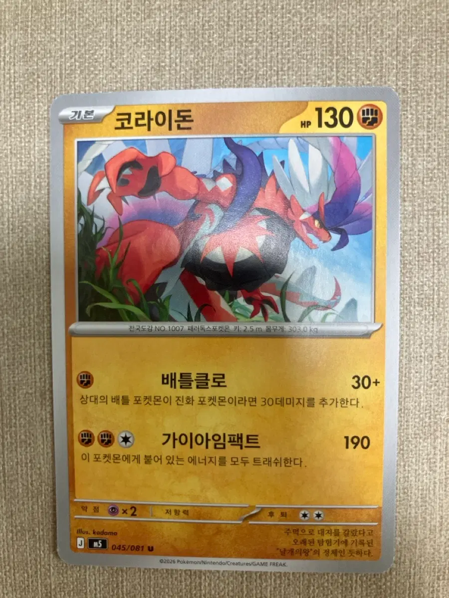 포켓몬카드 코라이돈