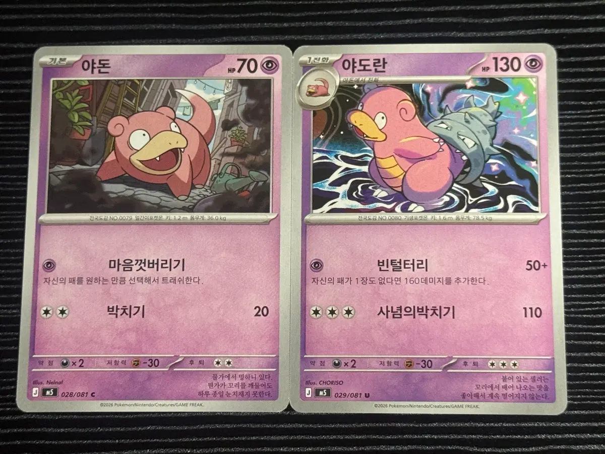 포켓몬 카드 야돈 야도란 세트