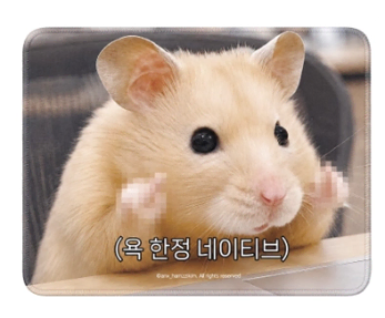 김햄찌 마우스패드 댈