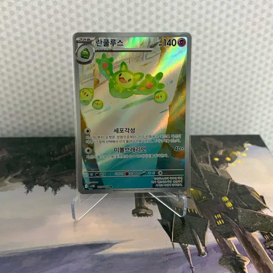 란쿨루스 AR