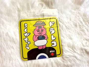 빤쮸토끼 카 마그넷 드라이브 레코더 녹화 중