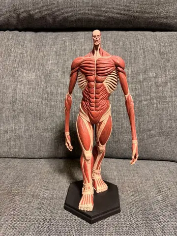 진격의 거인 초거대형 거인 피규어 아르민 박스 있음