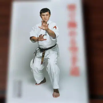 형으로 극하는 가라테도