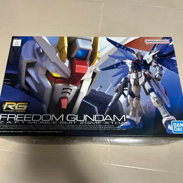 RG 1/144 FREEDOM GUNDAM ZGMF-X10A