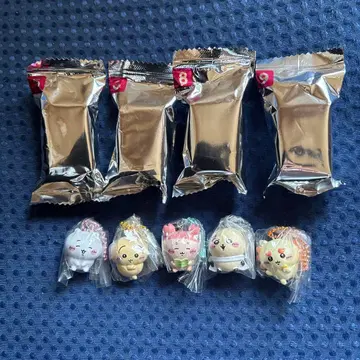 치이카와 초코 박스 & 마스코트