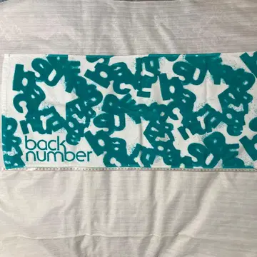 타월 2011 슈퍼 투어 back number