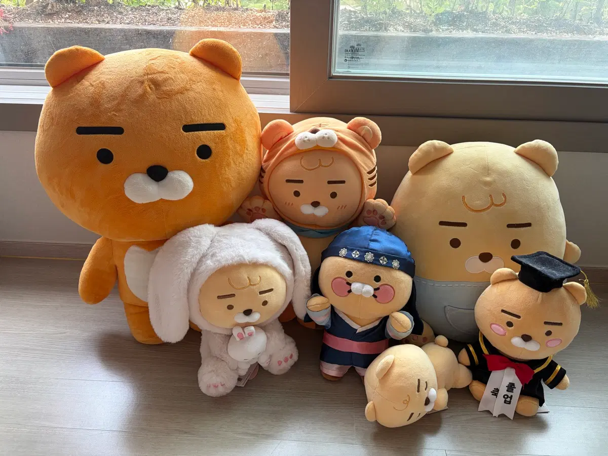 카카오프렌즈 라이언 인형 세트