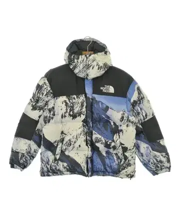 THE NORTH FACE 다운 자켓/다운 베스트 남성용