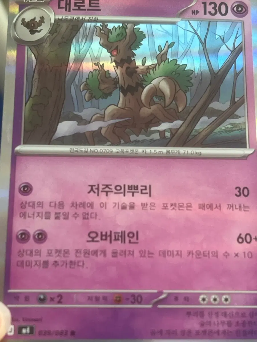 포켓몬카드