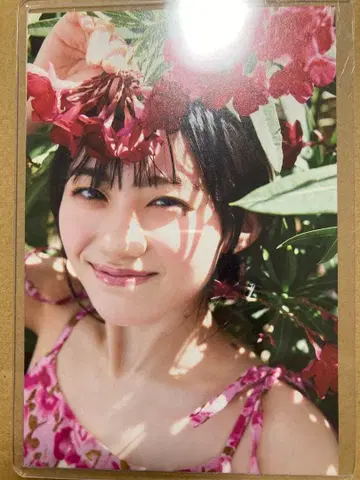 노기자카 카와사키 사쿠라 카와사키 사쿠라 NIC 리테일즈 혜택 엽서