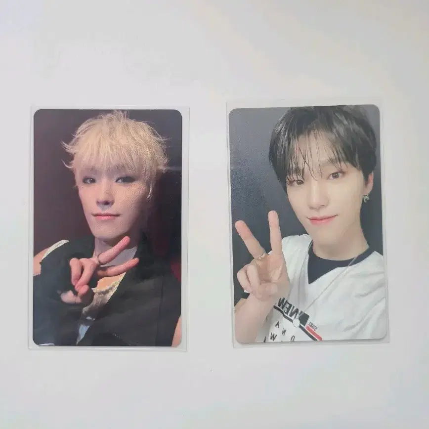 세븐틴 디노 이 찬 FML 손오공 위버스샵 미공포 & Falling Flower 폴플 포카 일괄