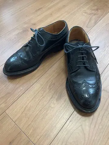 SCOTCHGRAIN 스코치그레인 3615 윙팁 25 블랙