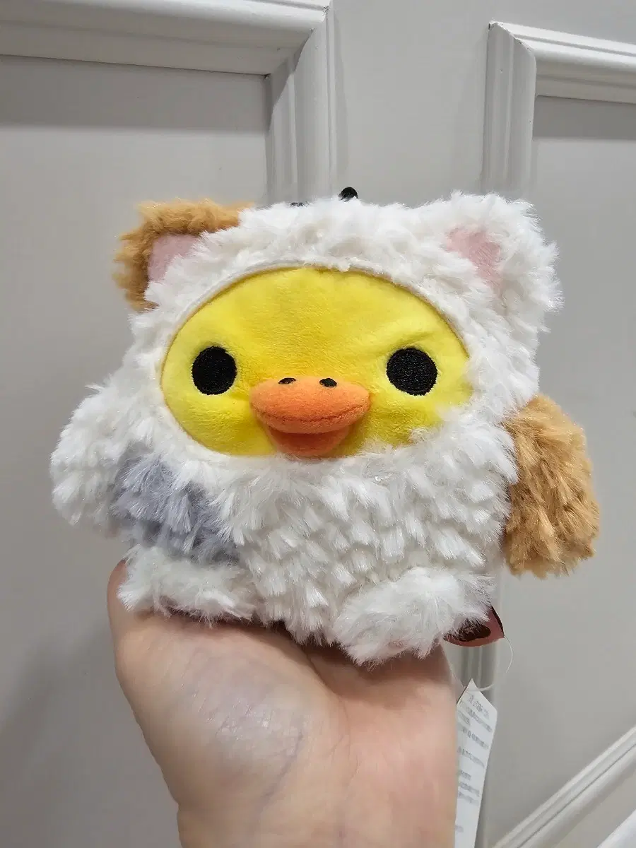 고양이 키이로이토리