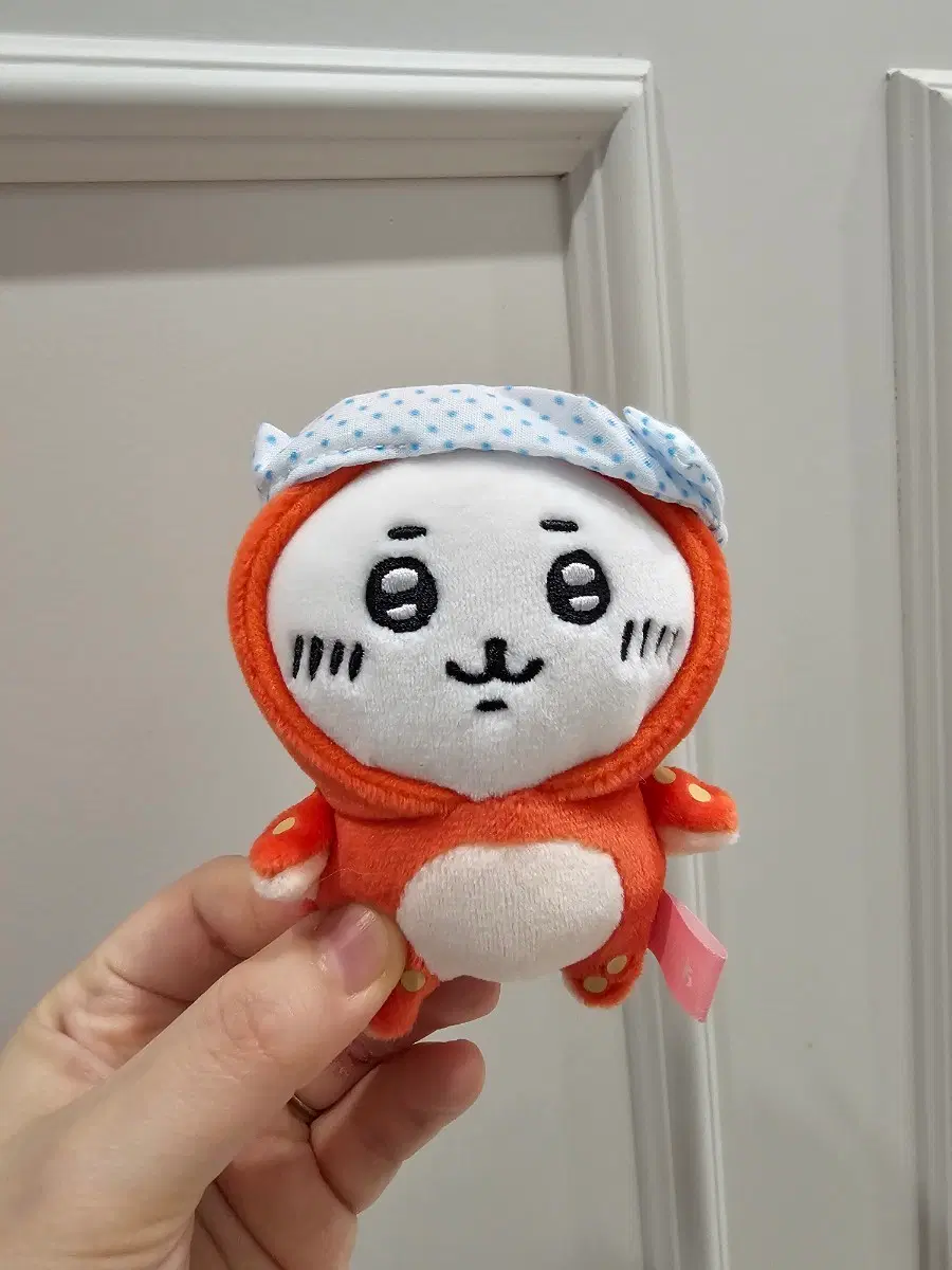 문어 치이카와 지역 한정인형