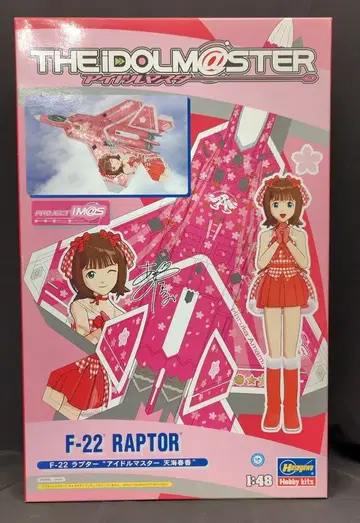 하세가와 1/48 F-22 랩터 아마미 하루카 SP271