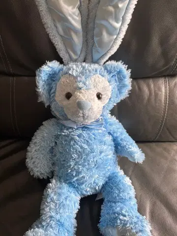 DLR 디즈니베어 부활절 pre Duffy