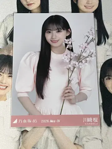 카와사키 벚꽃 브로마이드 벚꽃 컬러 코디 중간 1장
