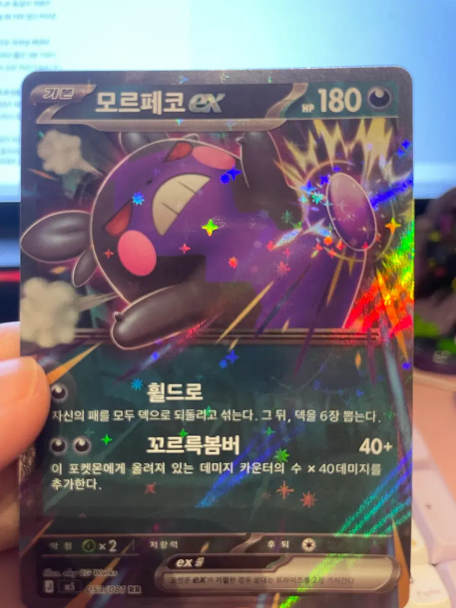 모르페코 EX 꼬르륵봄버 40+ 카드