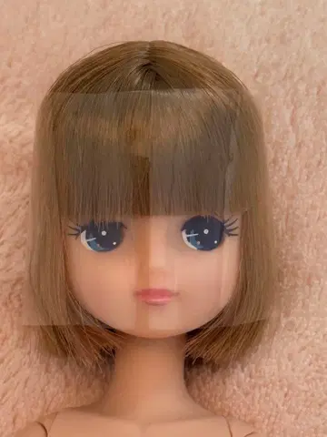 리카짱 캐슬 밥 키라짱 가동 바디 변경
