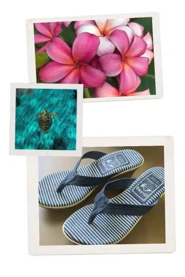ISLAND SLIPPER 웨지솔 샌들 보더 무늬