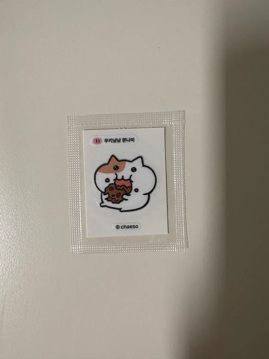 쫀냐미 띠부씰