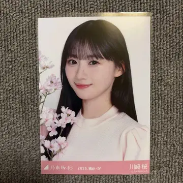 노기자카46 카와사키 사쿠라 브로마이드 벚꽃 컬러 코디