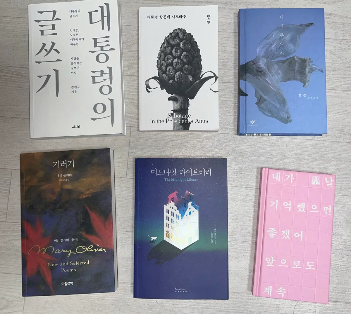 책 6권 / 미드나잇 라이브러리, 기러기, 대통령의 글쓰기, 대통령 항문에 사보타주, 채식주의자, 담장 너머 버베나
