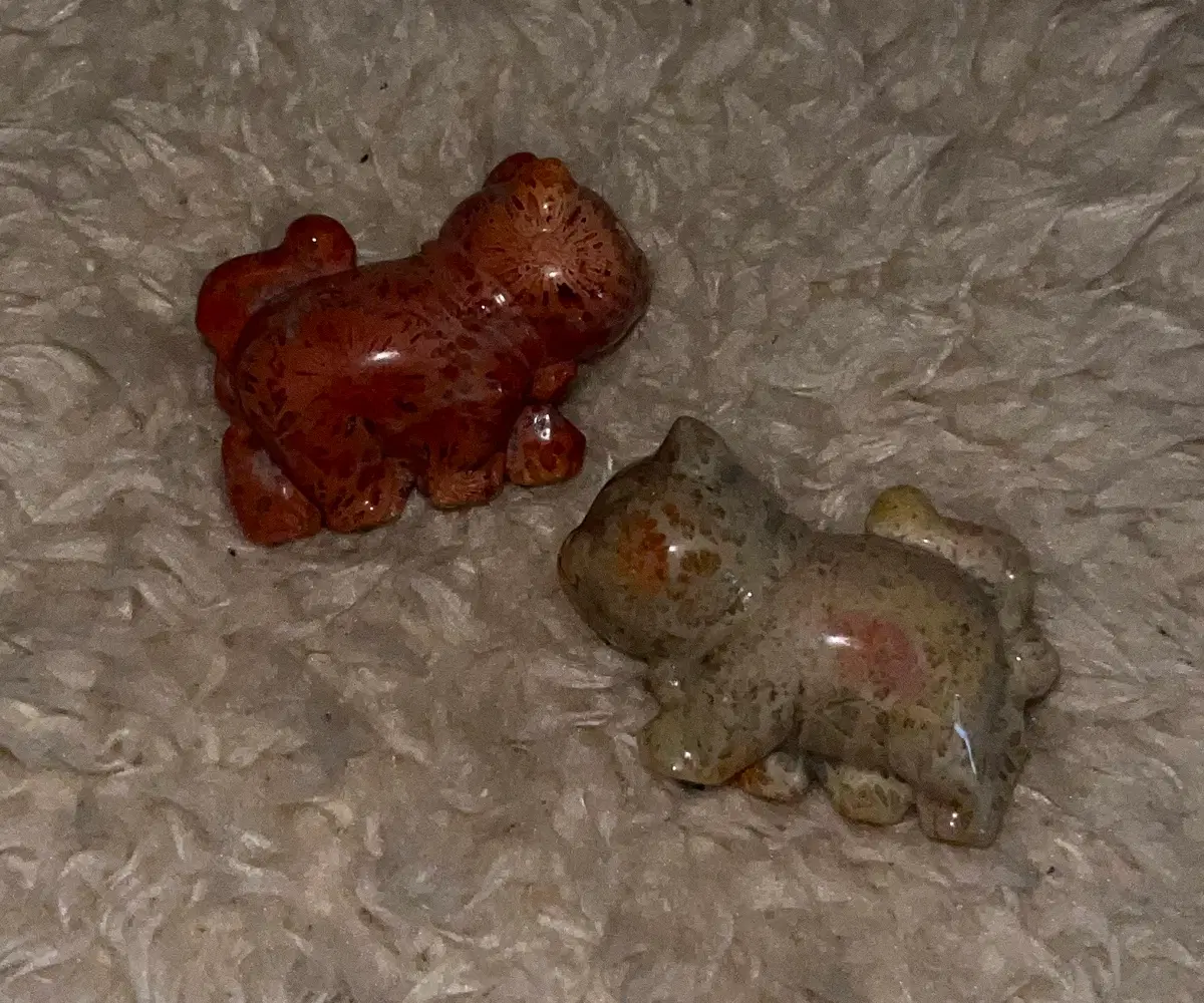 천연원석 산호옥 고양이 카빙 원석 돌 산호 재스퍼