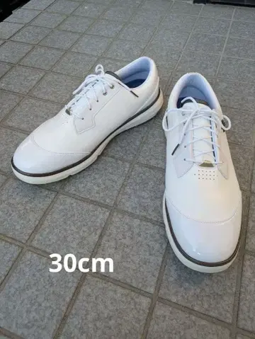 PAYNTR 페인터 골프 골프화 스파이크리스 신발끈 타입 30cm