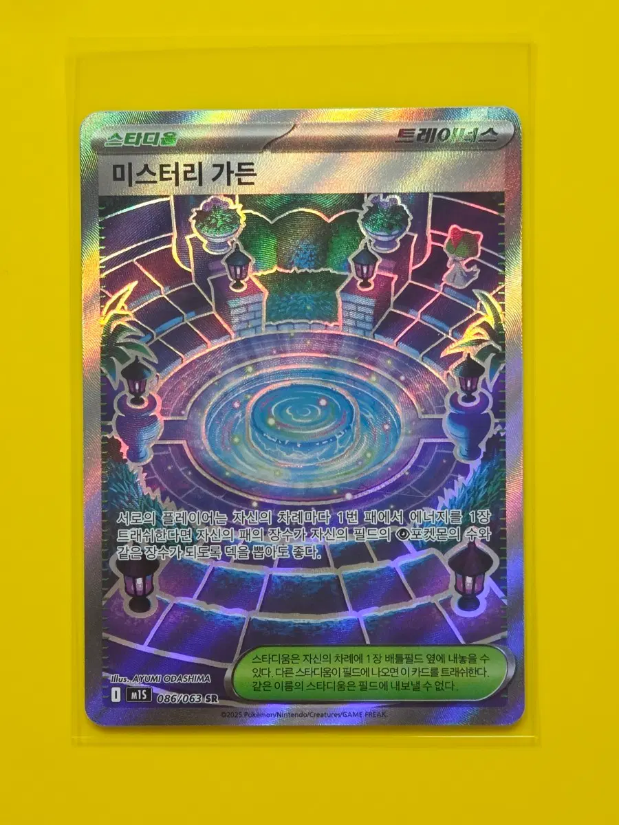 포켓몬카드 미스터리 가든 SR