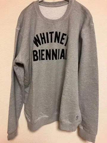 STANDARD ISSUE 휘트니 비엔날레 후지와라 히로시 hf