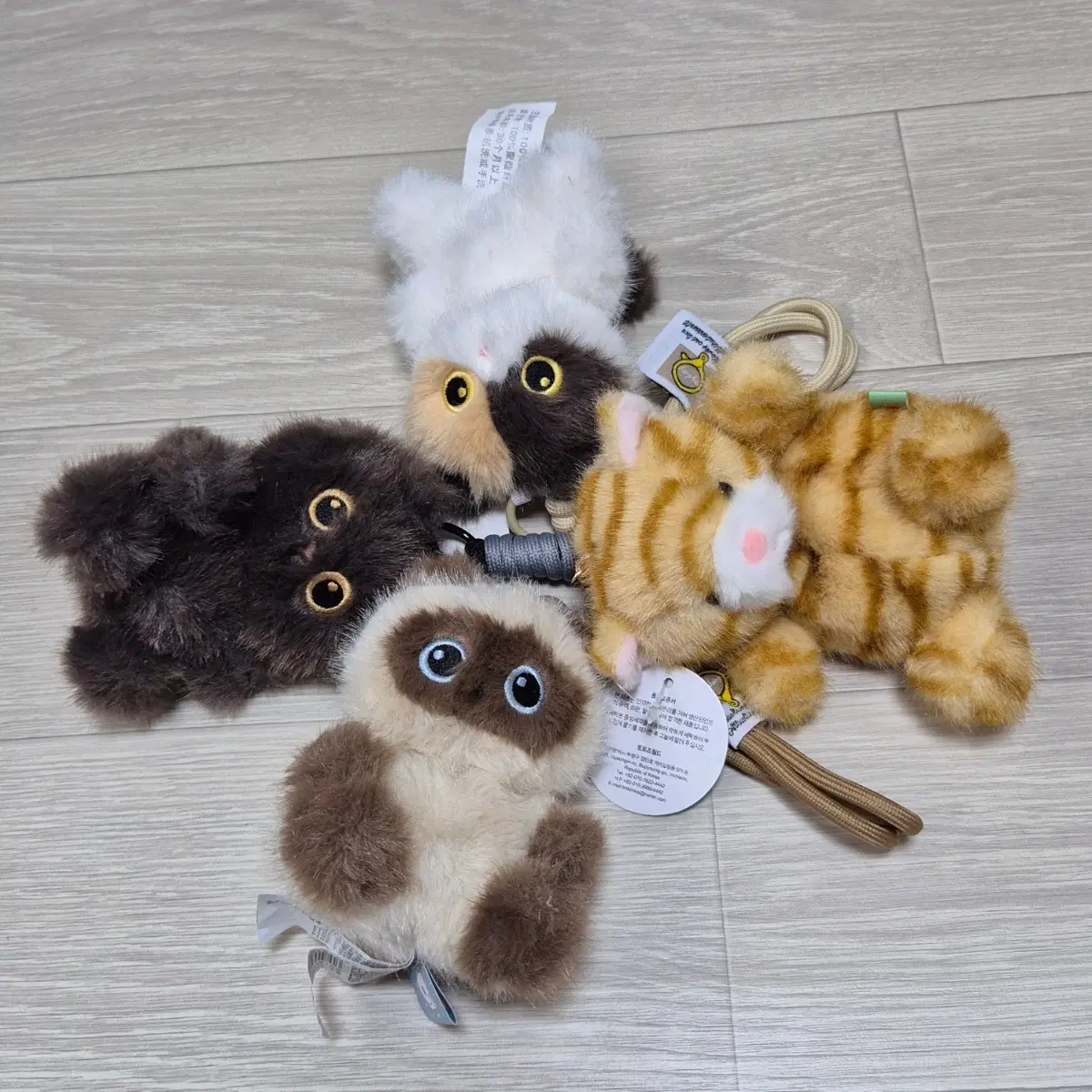 고양이 동물 인형 키링