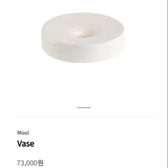 잭슨카멜레온 물 베이스 도자기 화병