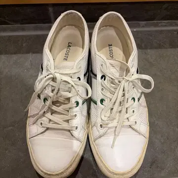 LACOSTE 화이트 스니커즈 남성용