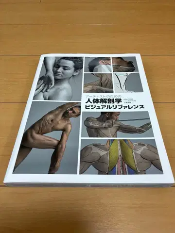 아티스트를 위한 인체 해부학 비주얼 레퍼런스