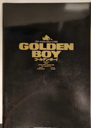 소년대 GOLDEN BOY 니시키리 잇세이 팜플렛
