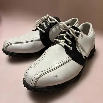 FootJoy 풋조이 골프화 GreenJoys 24.5cm